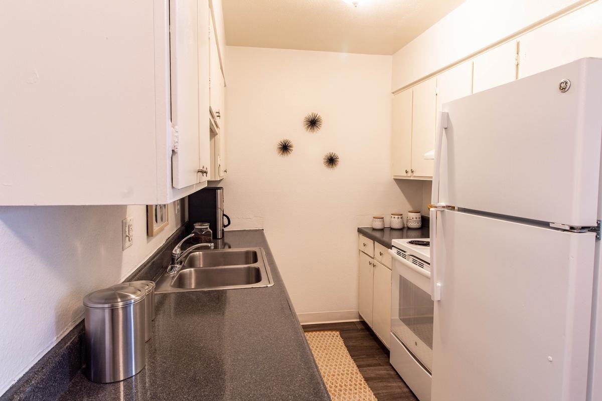 5360 Zuni St - Photo 4 of 19