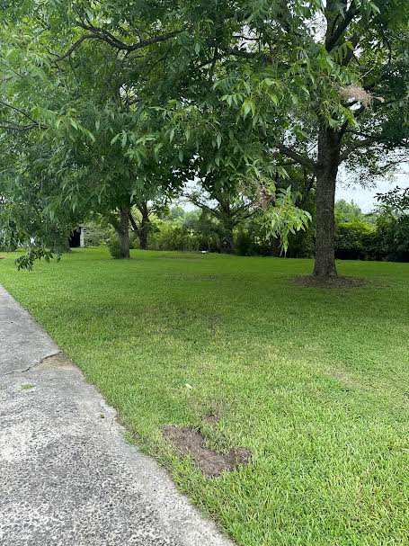 185 Riverside Rd - Photo 3 of 19