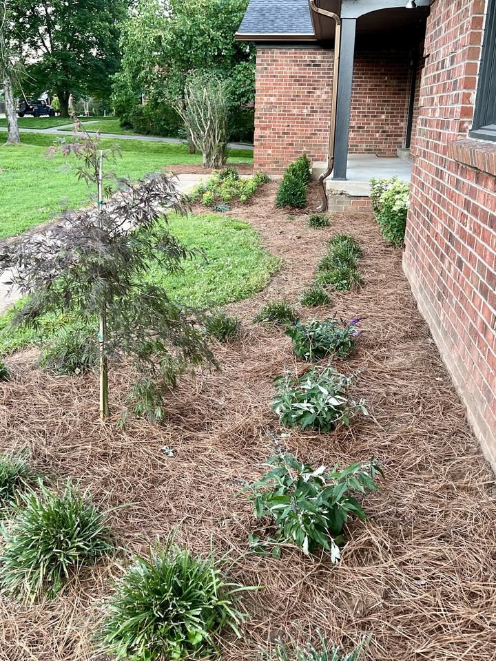 475 Broadwell Dr - Photo 3 of 22