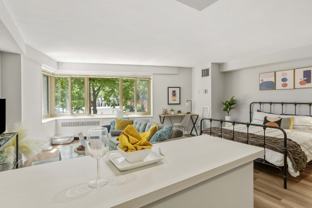 1350 N Lake Shore Dr - Photo 1 of 1