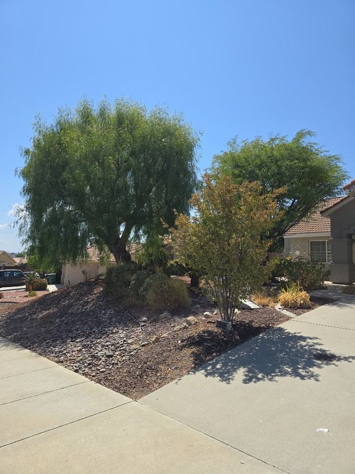 28599 Milky Way - Photo 2 of 43