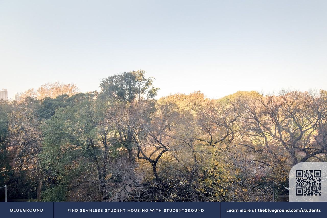 952 5th Avenue - Photo 6 of 21