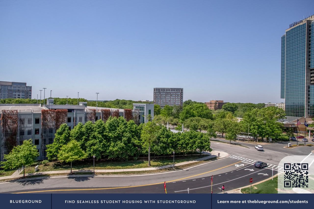 4900 Seminary Road - Photo 6 of 30