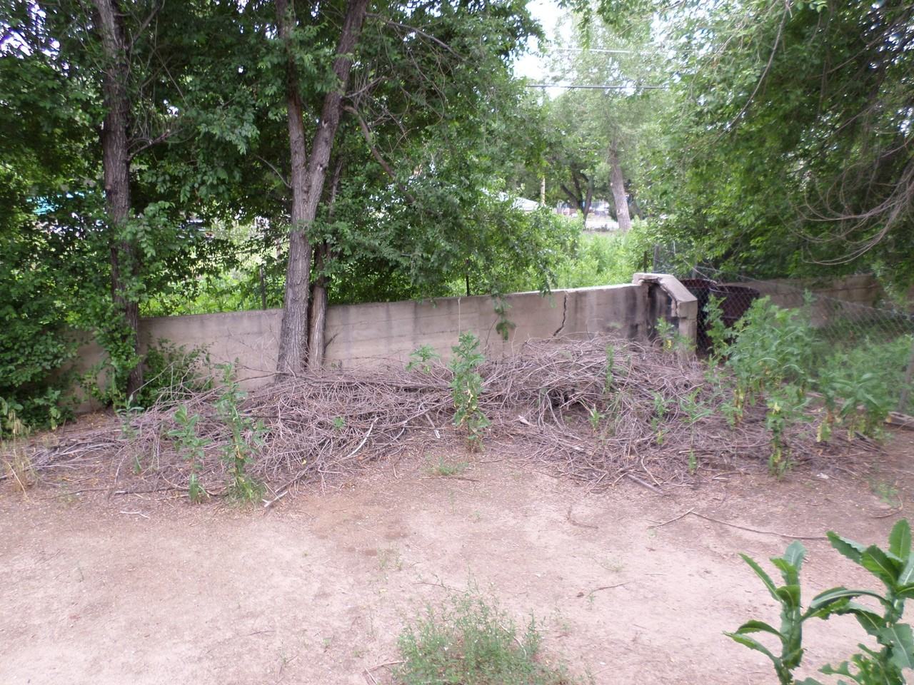 503 Iowa Ave. - Photo 3 of 10