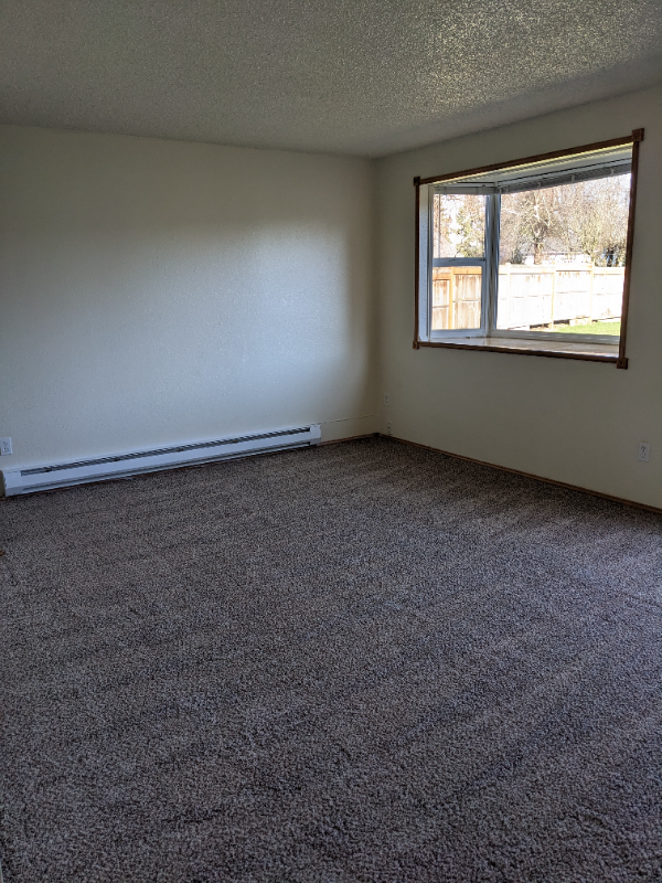 1017 13th Street Ct Nw - Photo 6 of 20