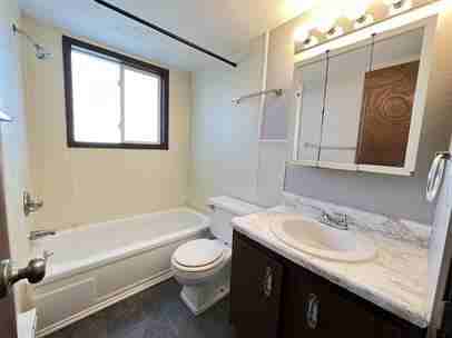 Janus Real Estate: 2951 9th Street - Photo 2 of 4