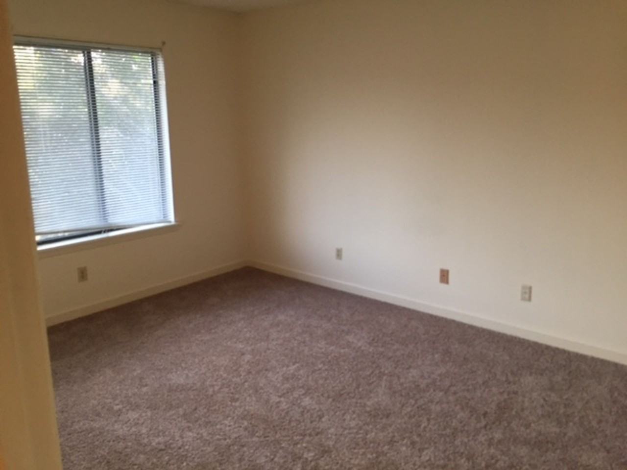 Laurel Street Apartments - Photo 4 of 18