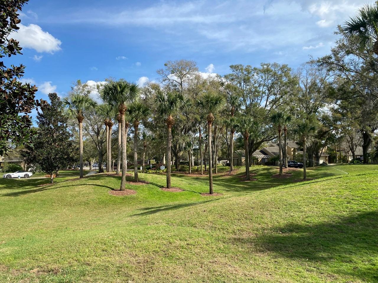 8436 Tangelo Tree Dr - Photo 3 of 24