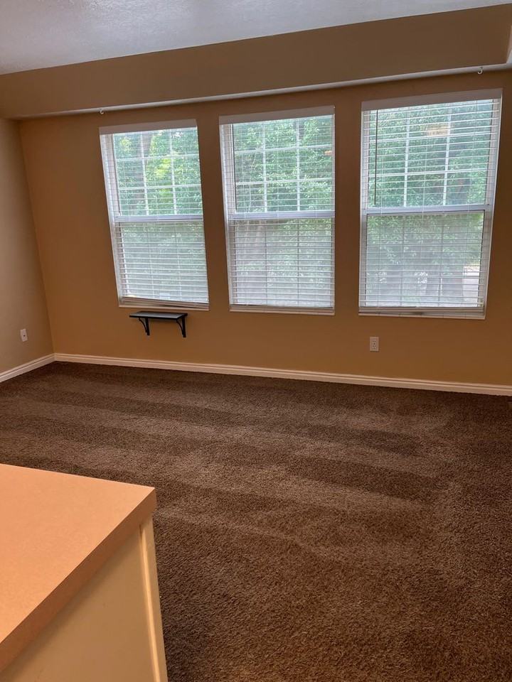 Canyon Road Townhomes - Photo 3 of 16