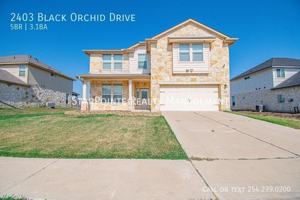 featured image of 2403 Black Orchid Dr