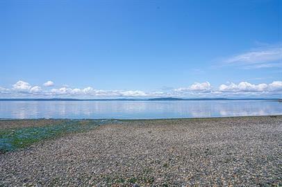 4027 Beach Drive SW - Photo 7 of 50