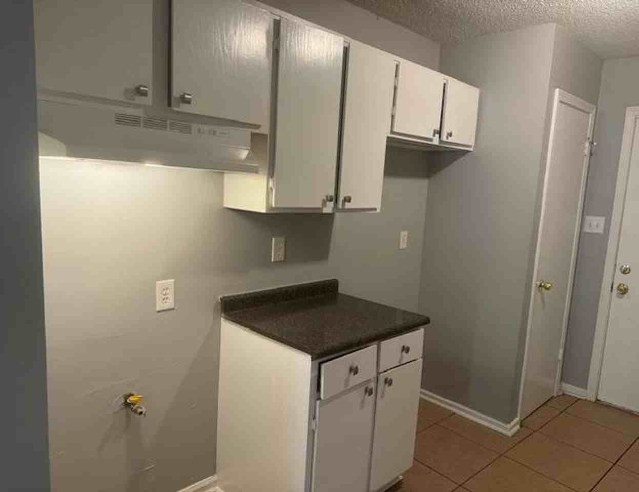 3241 Cedar Springs Dr - Photo 6 of 10