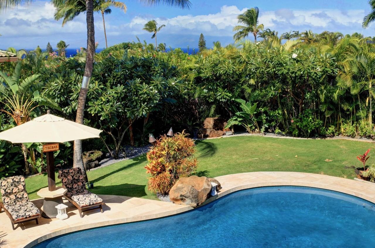 Amakihi - Photo 3 of 31