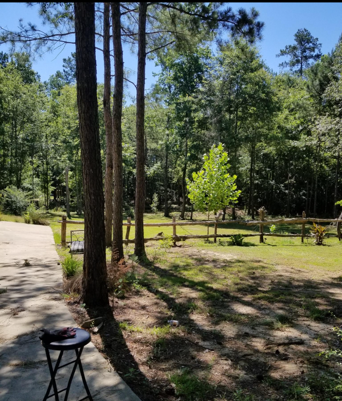 1041 Mallard Trl - Photo 3 of 5