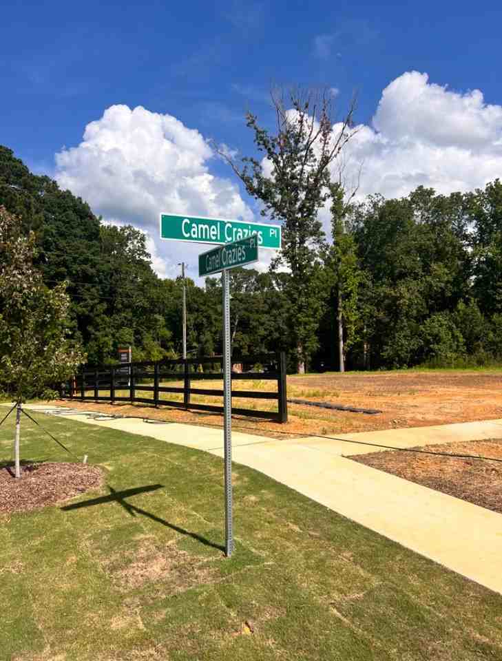 Buies Creek TownHomes - Photo 4 of 21