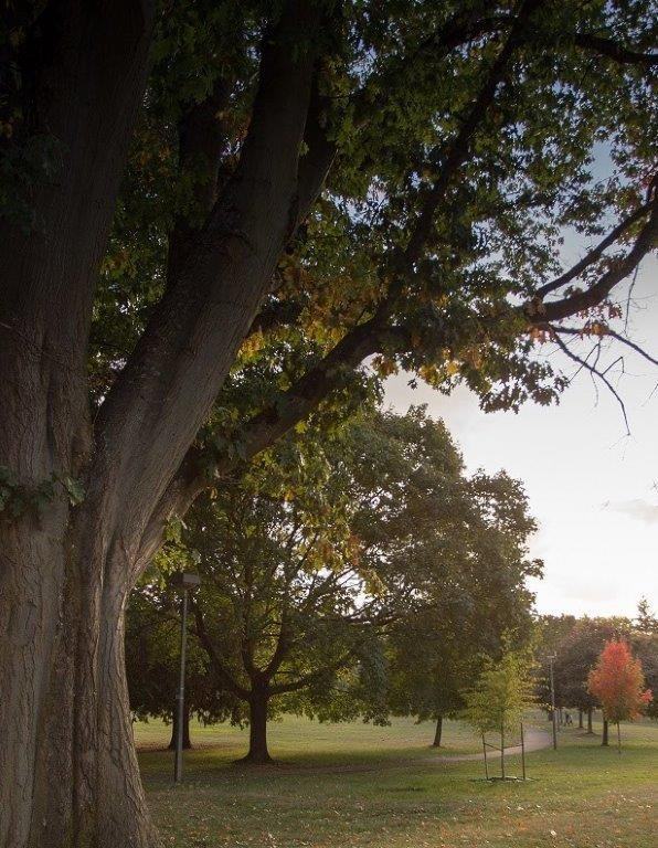 Kenton Commons - Photo 3 of 8