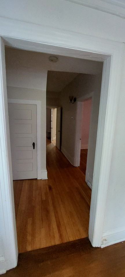 494 Clarence Street #1 - Photo 3 of 10