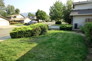 1338 Golden Park Dr Apt B #Apt B - Photo 1 of 1