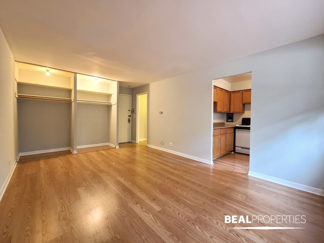 510 W Briar Pl #102STUDIO - Photo 2 of 6