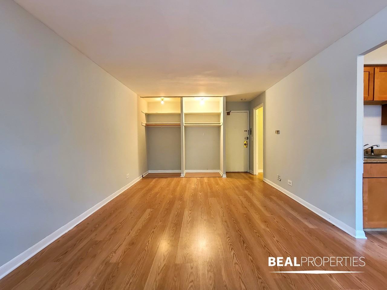 510 W Briar Pl #102STUDIO - Photo 3 of 6