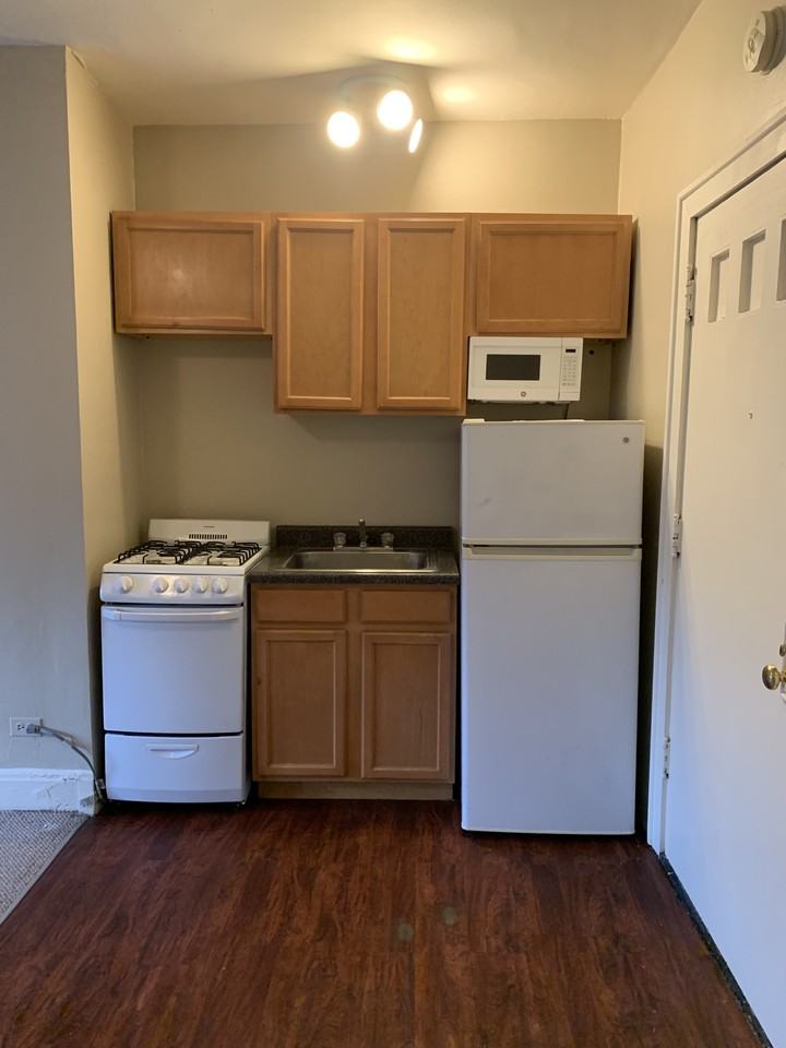 537 W Deming Pl #213 - Photo 2 of 20