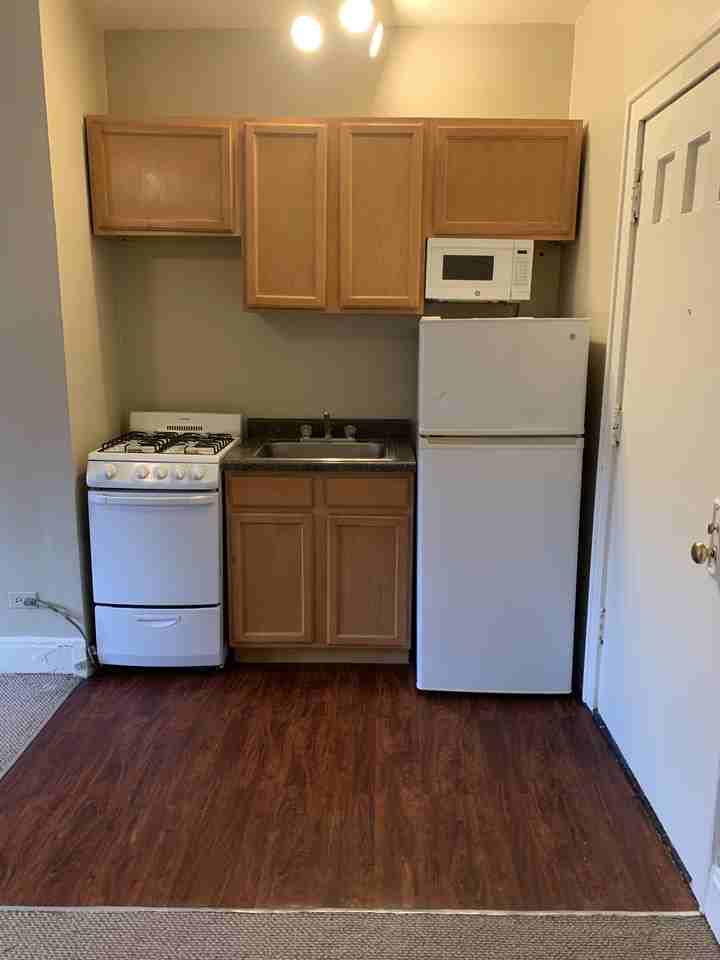 537 W Deming Pl #213 - Photo 3 of 20