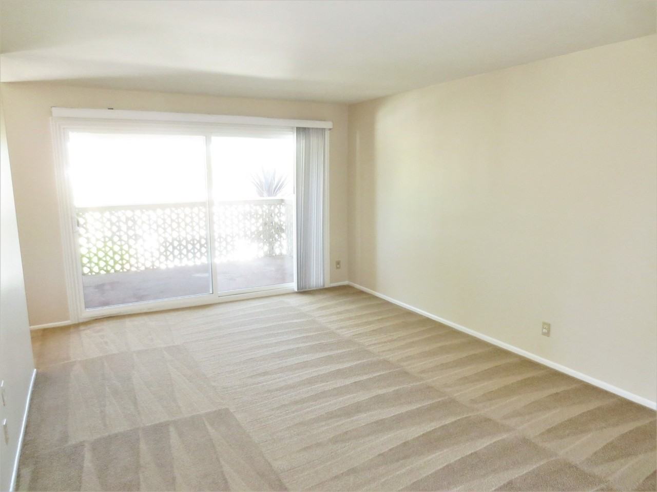 23342 Caminito Marcial - Photo 2 of 10