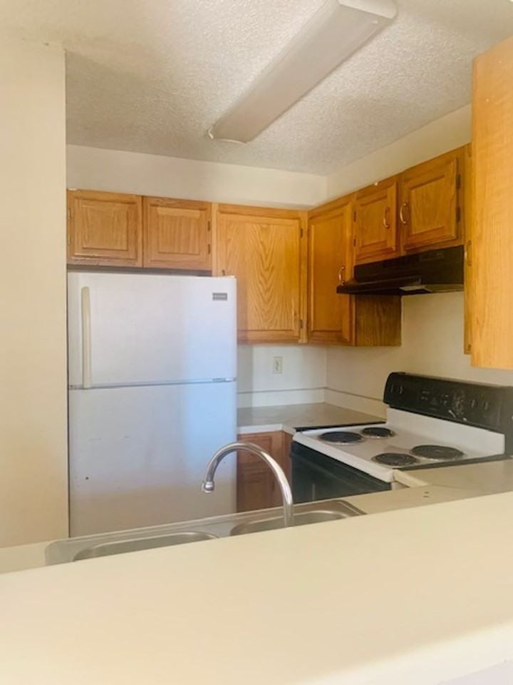 Dos Estrellas Apartments - Photo 3 of 19