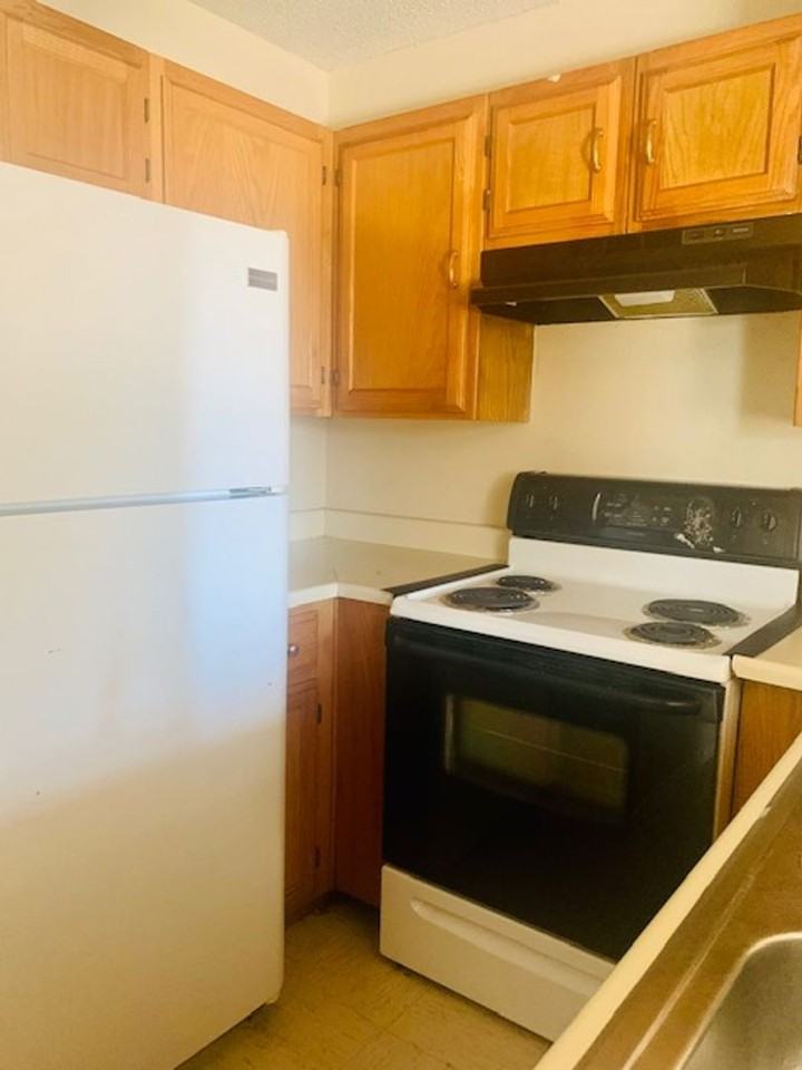 Dos Estrellas Apartments - Photo 5 of 19