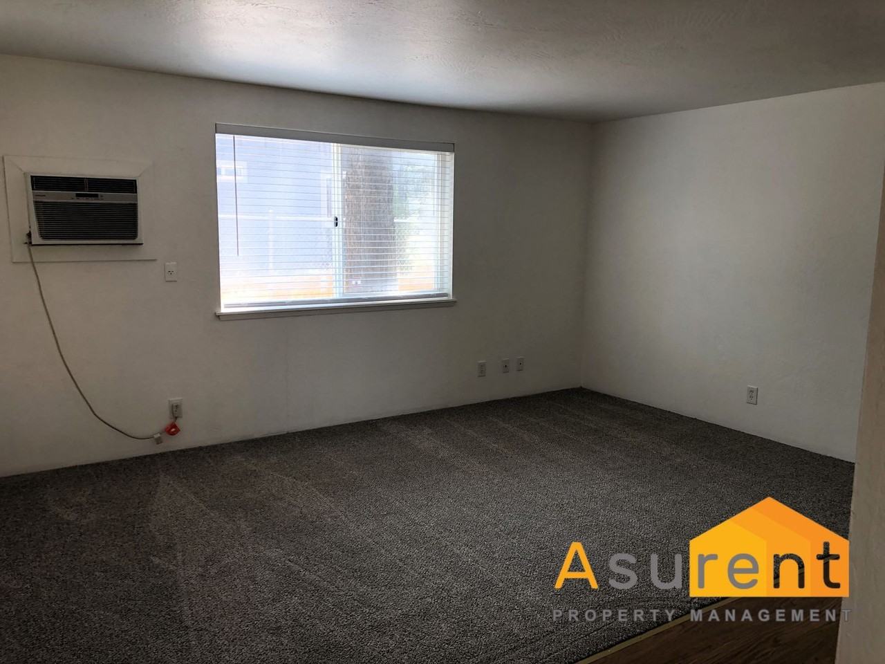427 Plum St - Photo 5 of 18