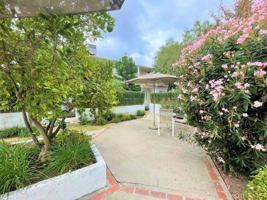 featured image of 10814-10818 10814-10818 Blix St - 814-B2- single