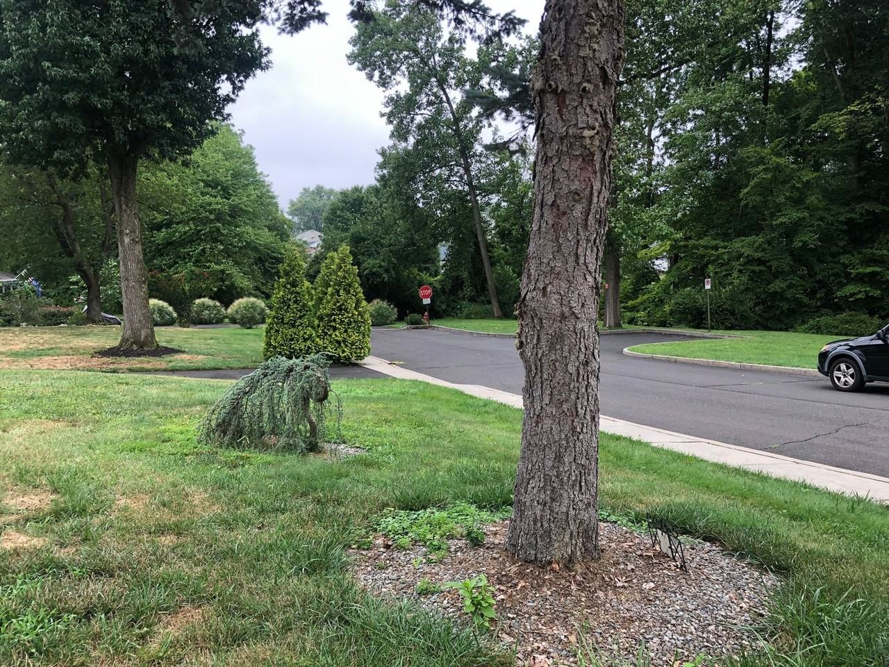 344 Andover Rd - Photo 2 of 15