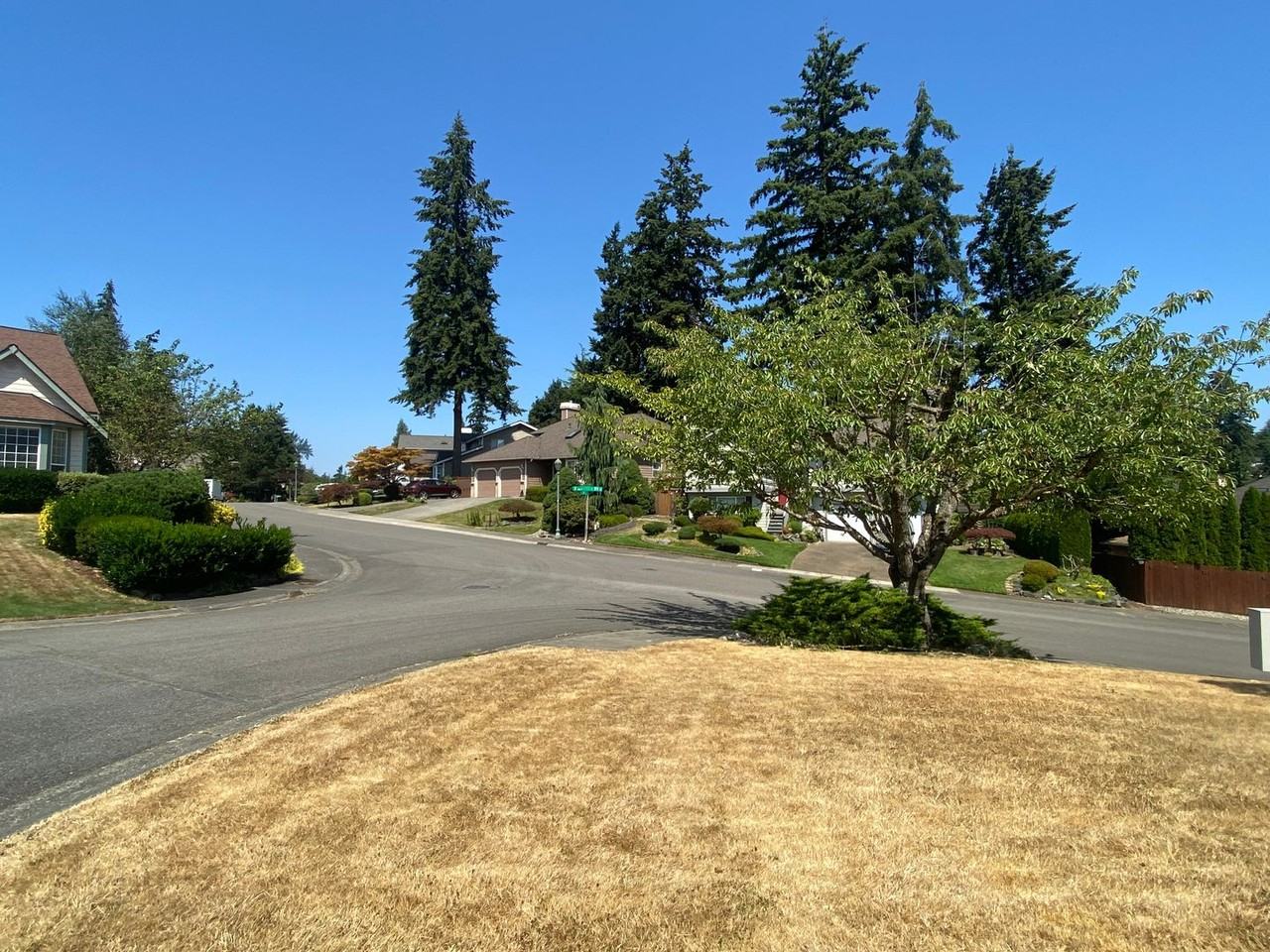 1639 S 374th Ct - Photo 3 of 24