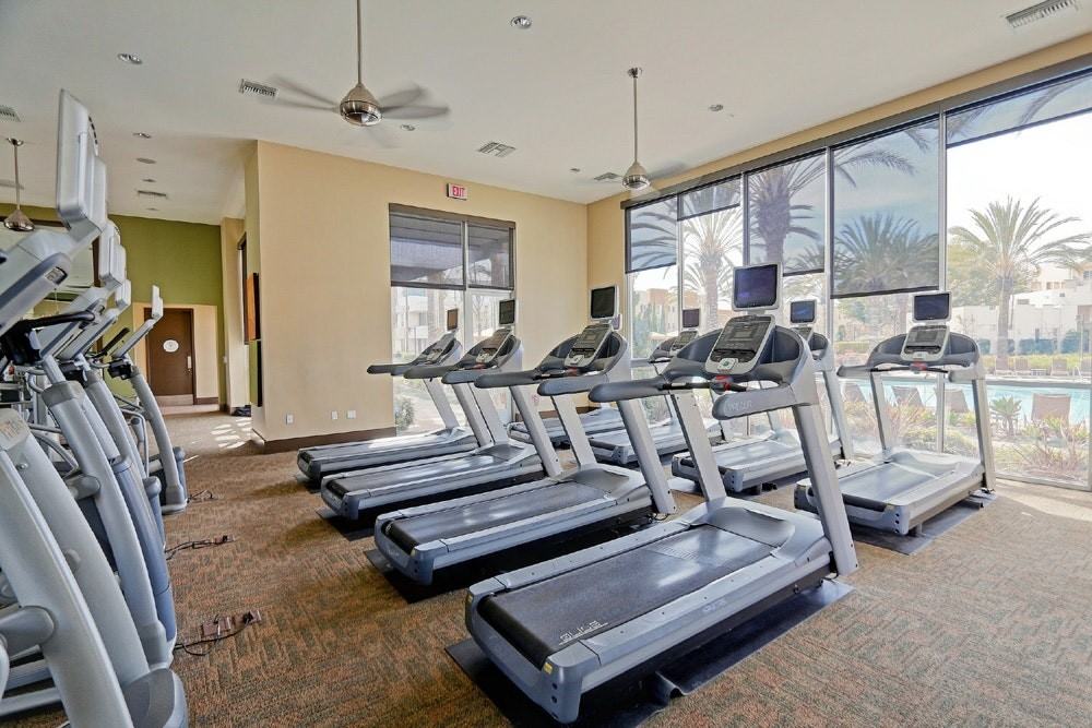 13021 Central Avenue, Unit 404 - Photo 5 of 41