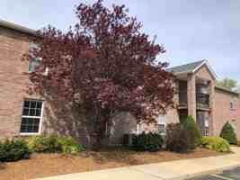 featured image of 1515 W Pacific St #208