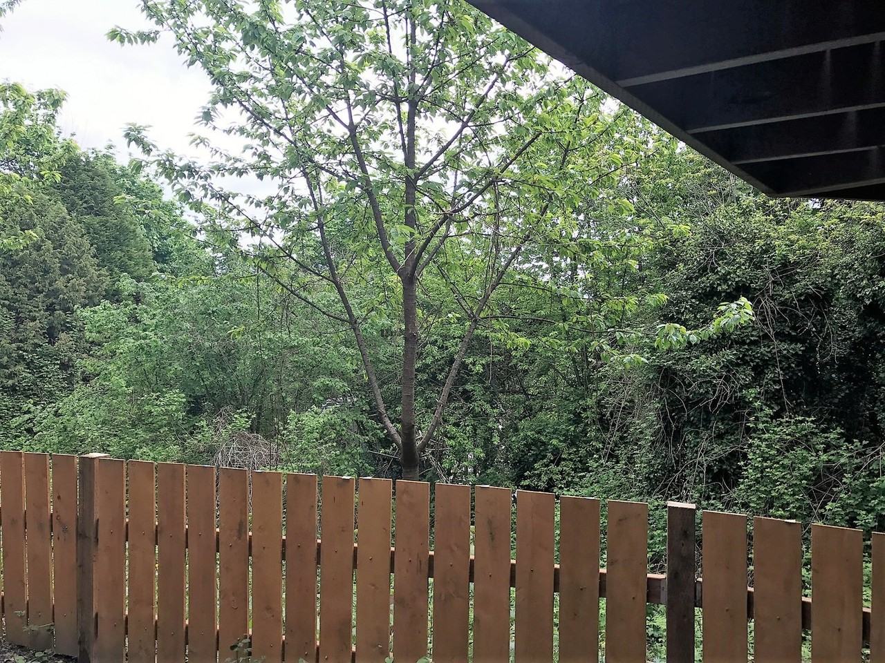 1714 N Wycoff Ave #B - Photo 2 of 13