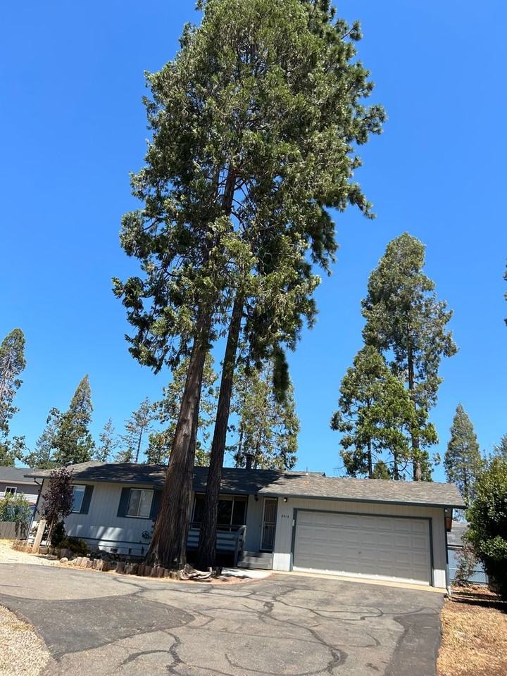 6413 Ventura Dr - Photo 2 of 12
