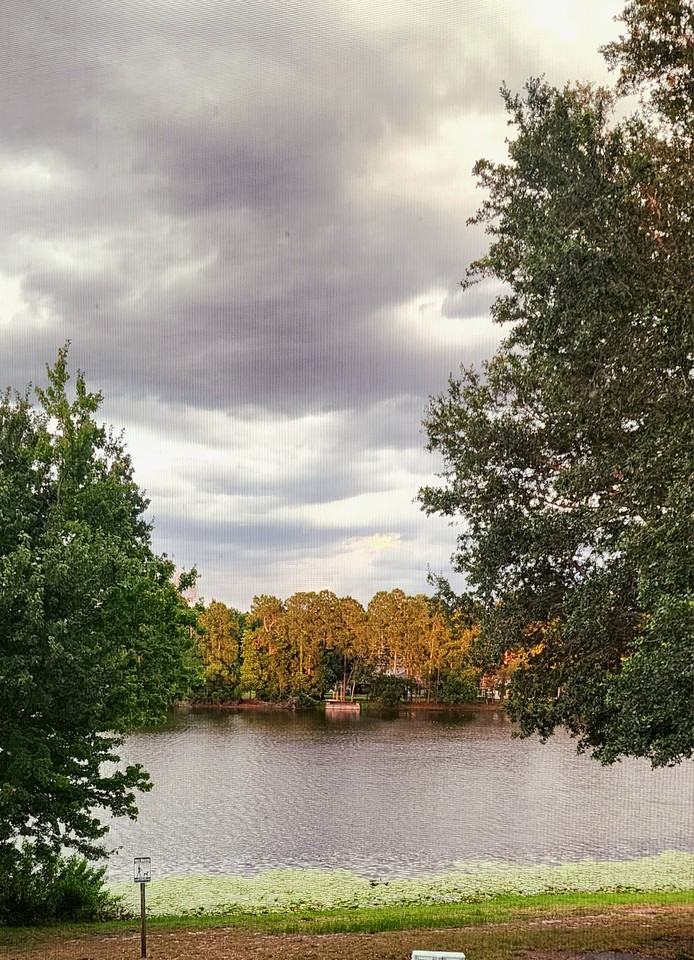 23699 Bahama Pt #1126 - Photo 5 of 27