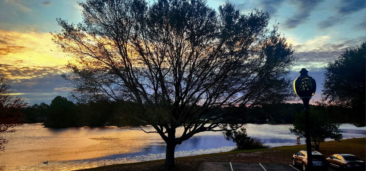 23699 Bahama Pt #1126 - Photo 6 of 27