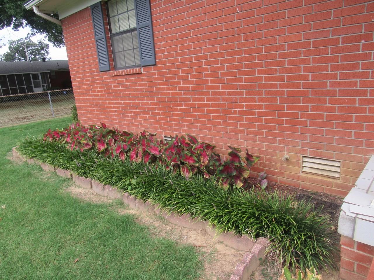 606 Oregon St - Photo 4 of 25