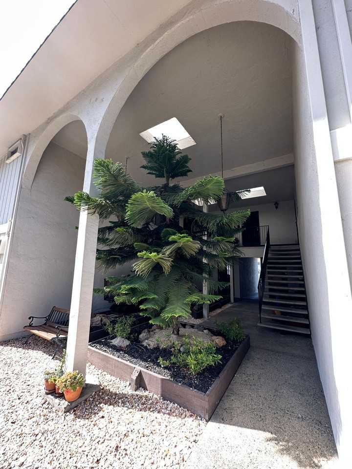 702 East Military - Photo 7 of 8