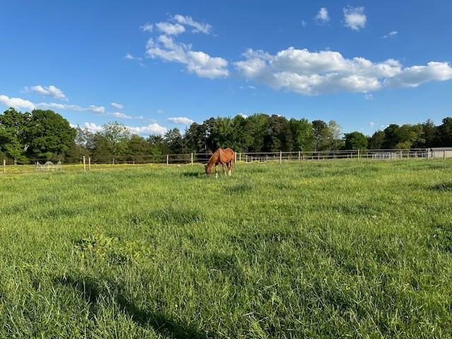 8790 Sylvan Rd #NA - Photo 3 of 12