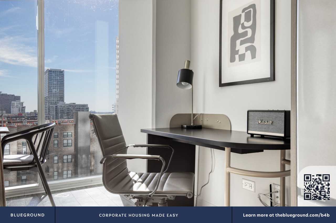 1407 South Michigan Avenue - Photo 5 of 34