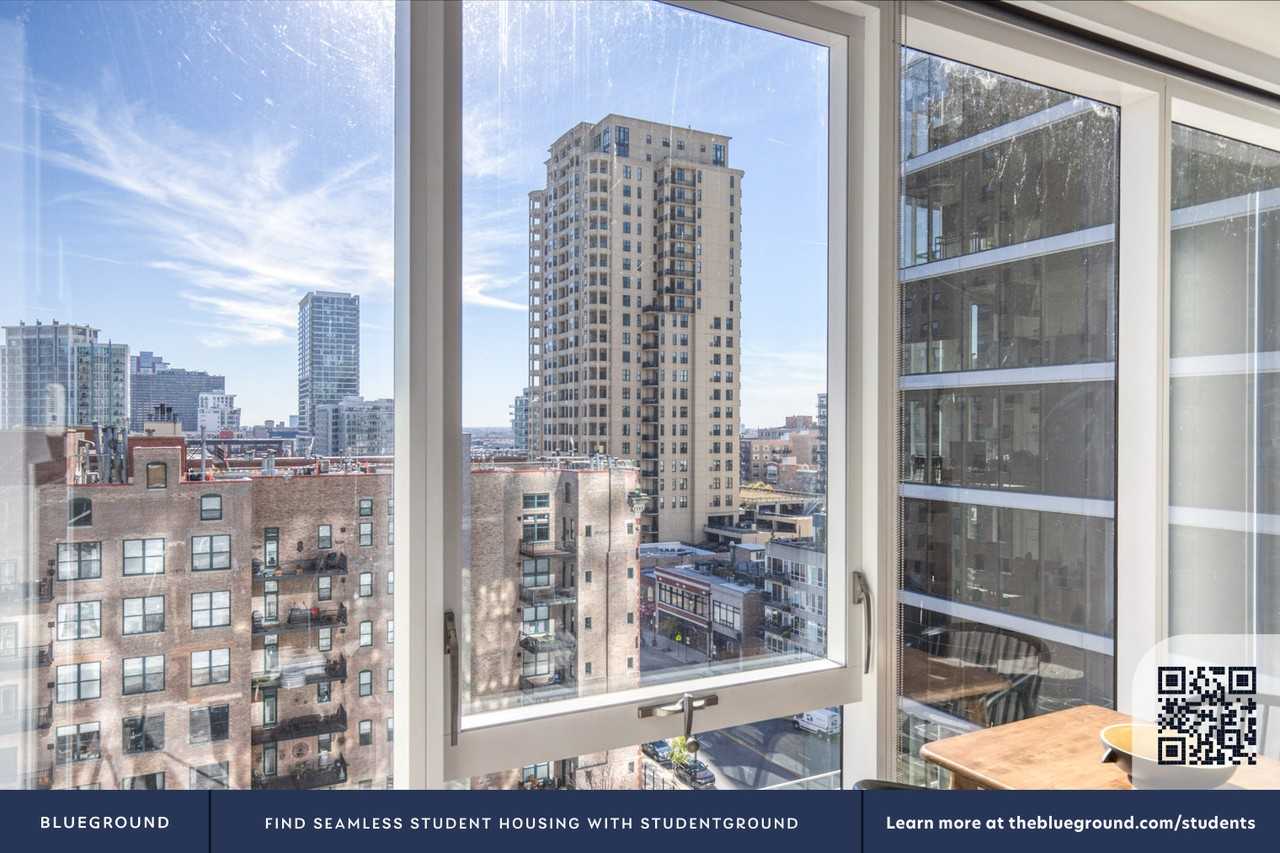 1407 South Michigan Avenue - Photo 6 of 34