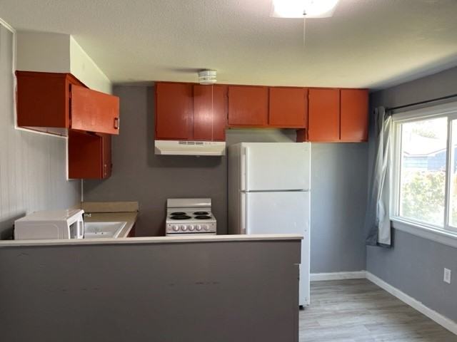 102 E 14th Ave #3 - Photo 3 of 14