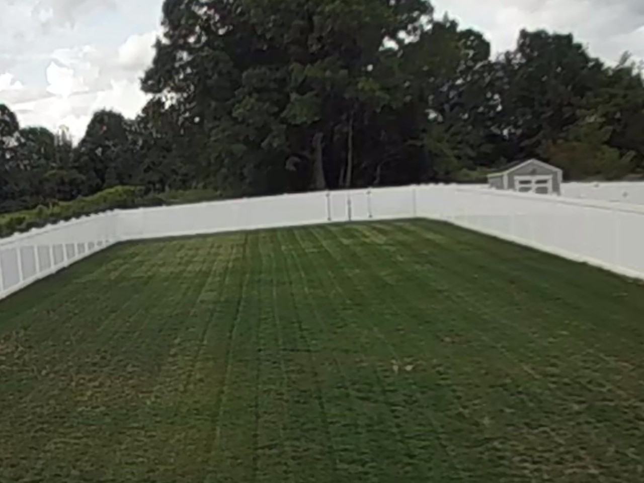 1451 Wood Fern Dr - Photo 3 of 43