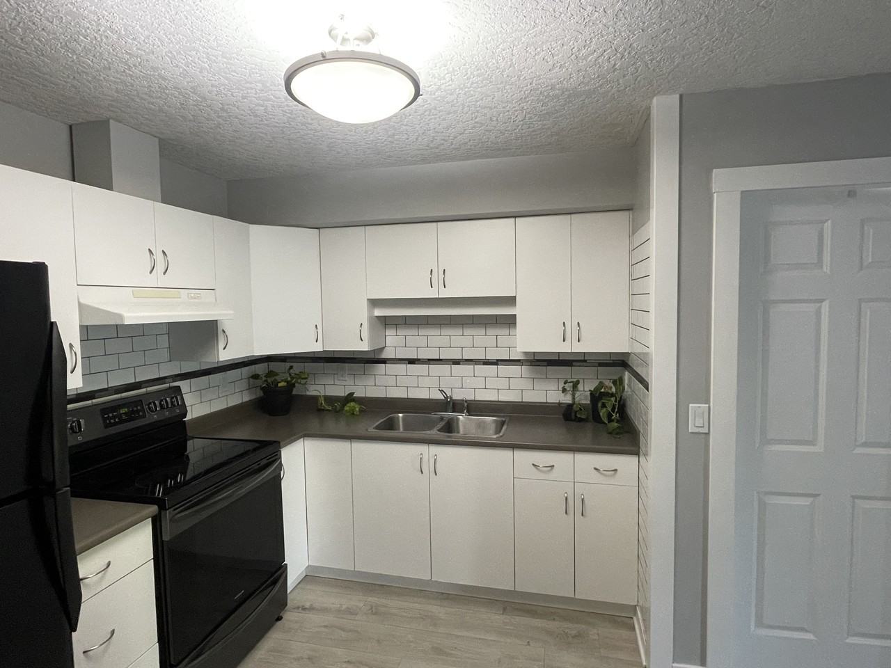 2449 Whitehorn Place #B - Photo 3 of 14