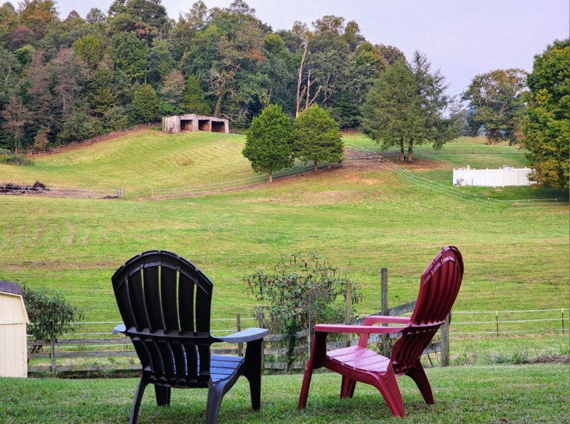 20269 Benhams Rd #A - Photo 2 of 11