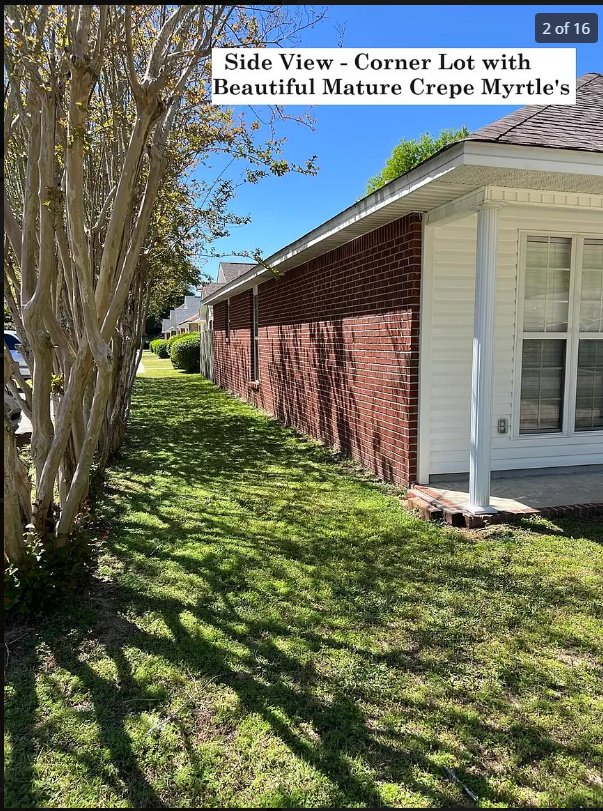 1604 Chadwick Ln #NA - Photo 6 of 12