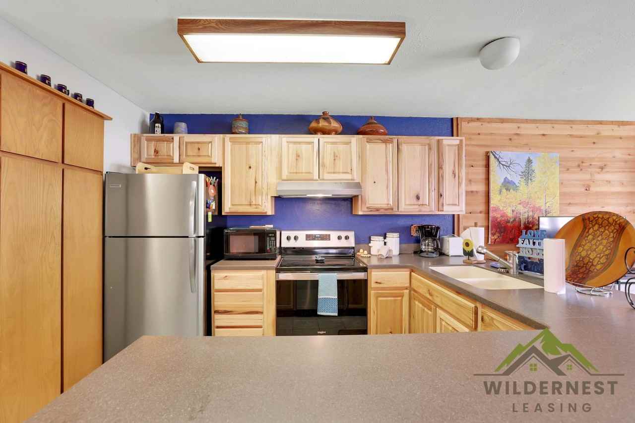 102 Salt Lick Cir - Photo 5 of 16